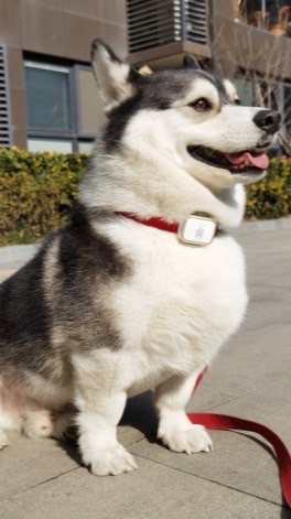 此社群已被刪除