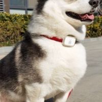 無法使用的聊天室