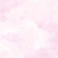 ほむ【hsH】ほむ