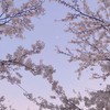 忘れないで  渡天