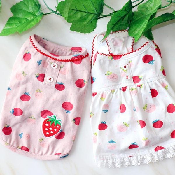小草莓情侶裝夏天薄款狗狗背心比熊泰迪衣服寵物衣服娃娃裙 糖果時尚