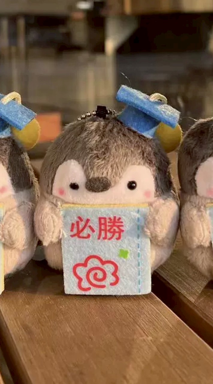 為考私醫，後中，後西努力的小夥伴