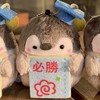 為考私醫，後中，後西努力的小夥伴
