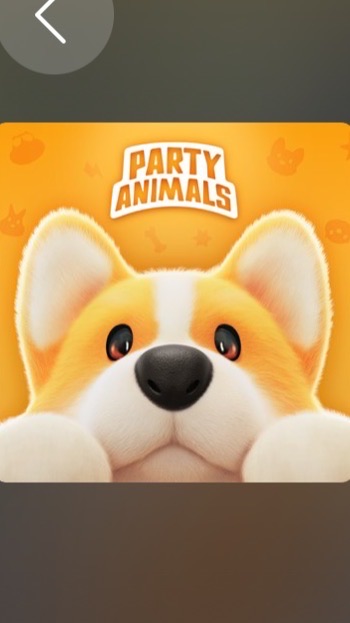 猛獸派對(Party Animals)交流討論區