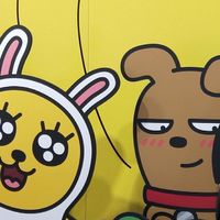 🇯🇵🇰🇷日本&韓國快閃代購