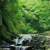奕君的朋友