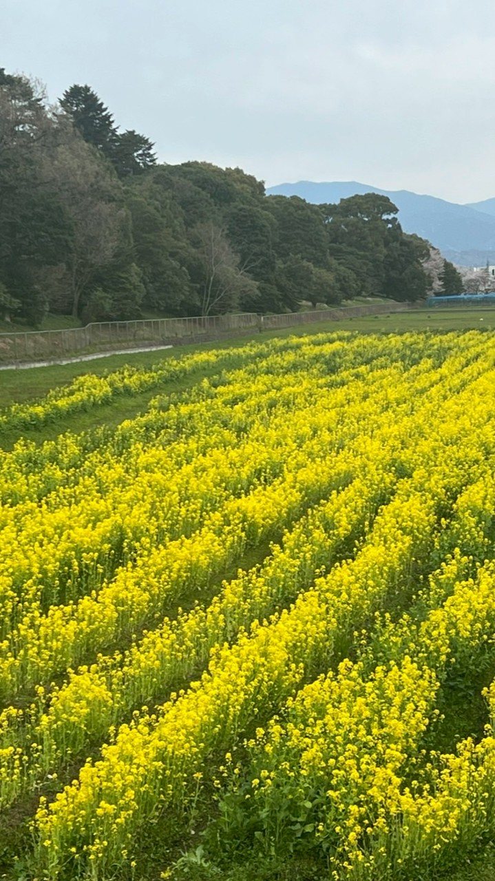 挨拶だけSIDE3スタンプ