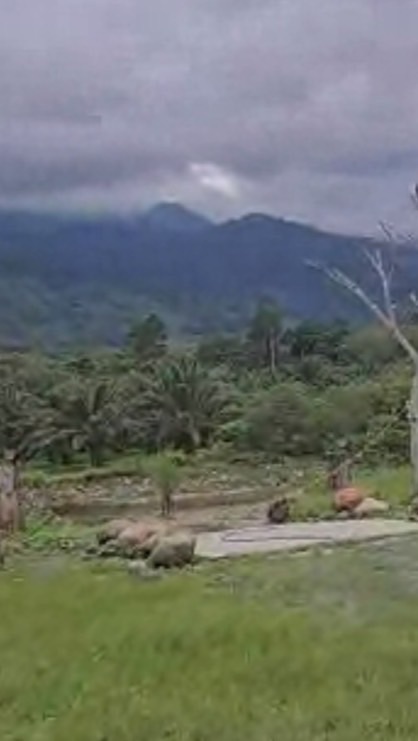 [59] ห้องสุนทรินทร์