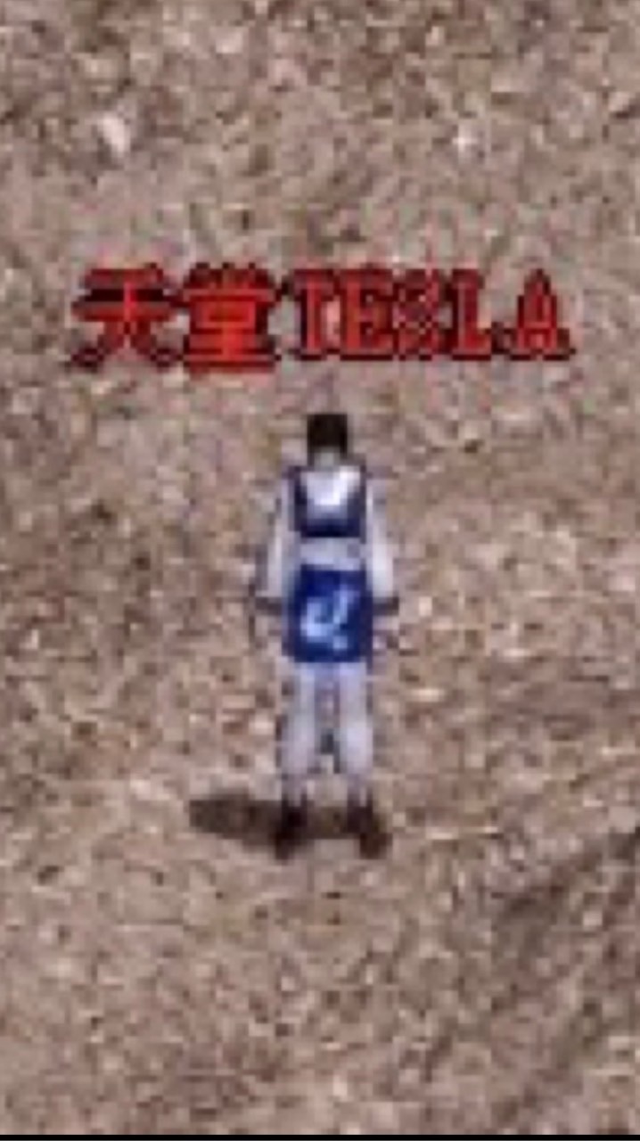 天堂外掛_2025特斯拉6月私服新開發