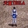 天堂外掛_2025特斯拉6月私服新開發