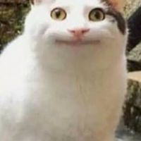 吐槽來這裡