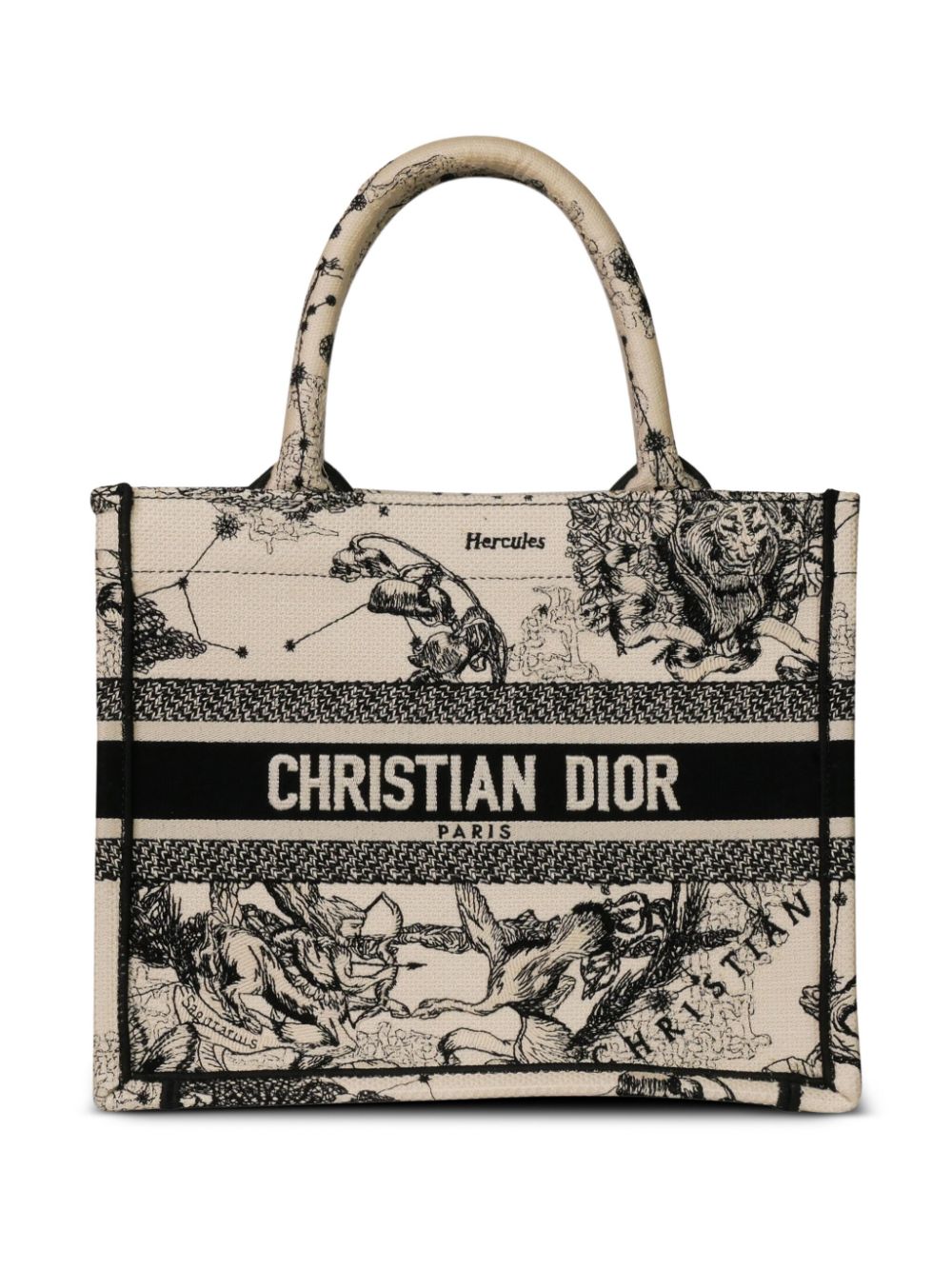 Christian Dior - pre-owned Book tote bag - women - Canvas - One Size - Neutrals