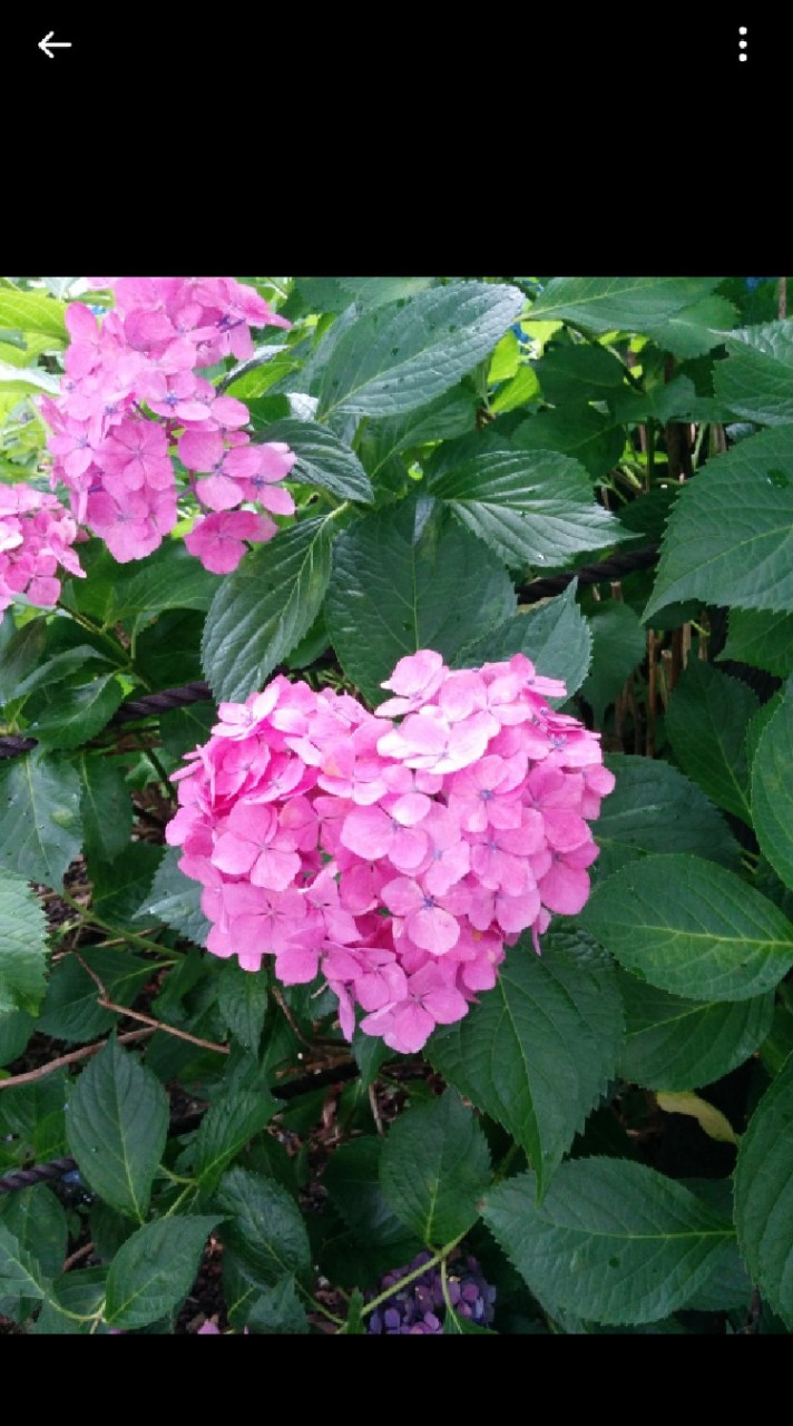 🍀*✨気軽に雑談✨🍀*のオープンチャット