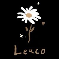 Leuco｜韓國 •廣州服飾｜韓國 • 陸製飾品 🫧