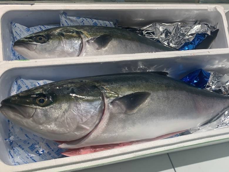 日本大分縣鰤魚限量登場 微風超市加碼祭出 5倍券超狂異國福袋 優惠 食力foodnext Line Today