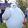 ディズニーキャスト報
