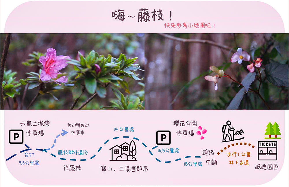 (圖片提供/藤枝國家森林遊樂區)