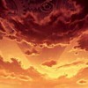 FGO 初心者と無(微)課金マスターの会