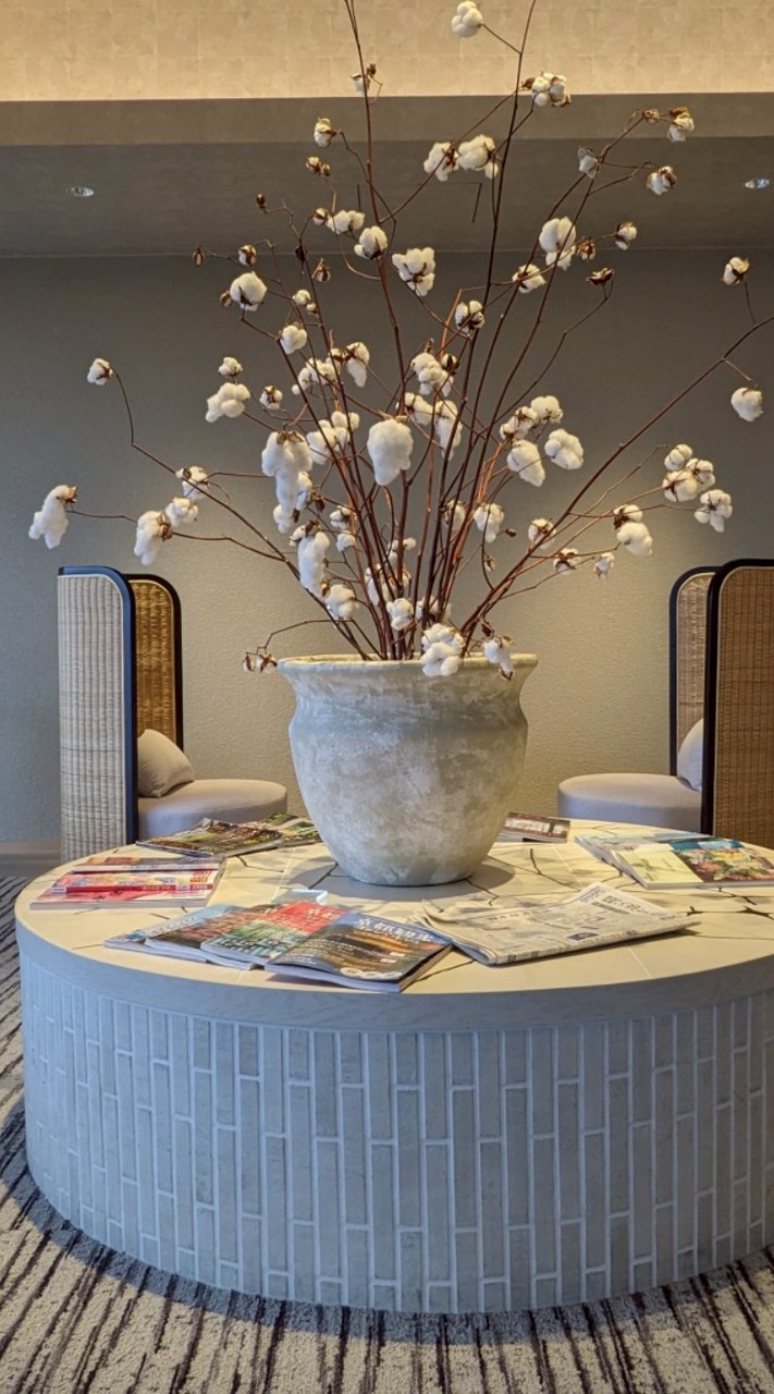 🌟インテリア・雑貨・観葉植物等を買ったら、画像をUPする為の部屋。小さな幸せを分かち合おう！