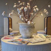 🌟インテリア・雑貨・観葉植物等を買ったら、画像をUPする為の部屋。小さな幸せを分かち合おう！