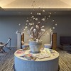🌟インテリア・雑貨・観葉植物等を買ったら、画像をUPする為の部屋。小さな幸せを分かち合おう！
