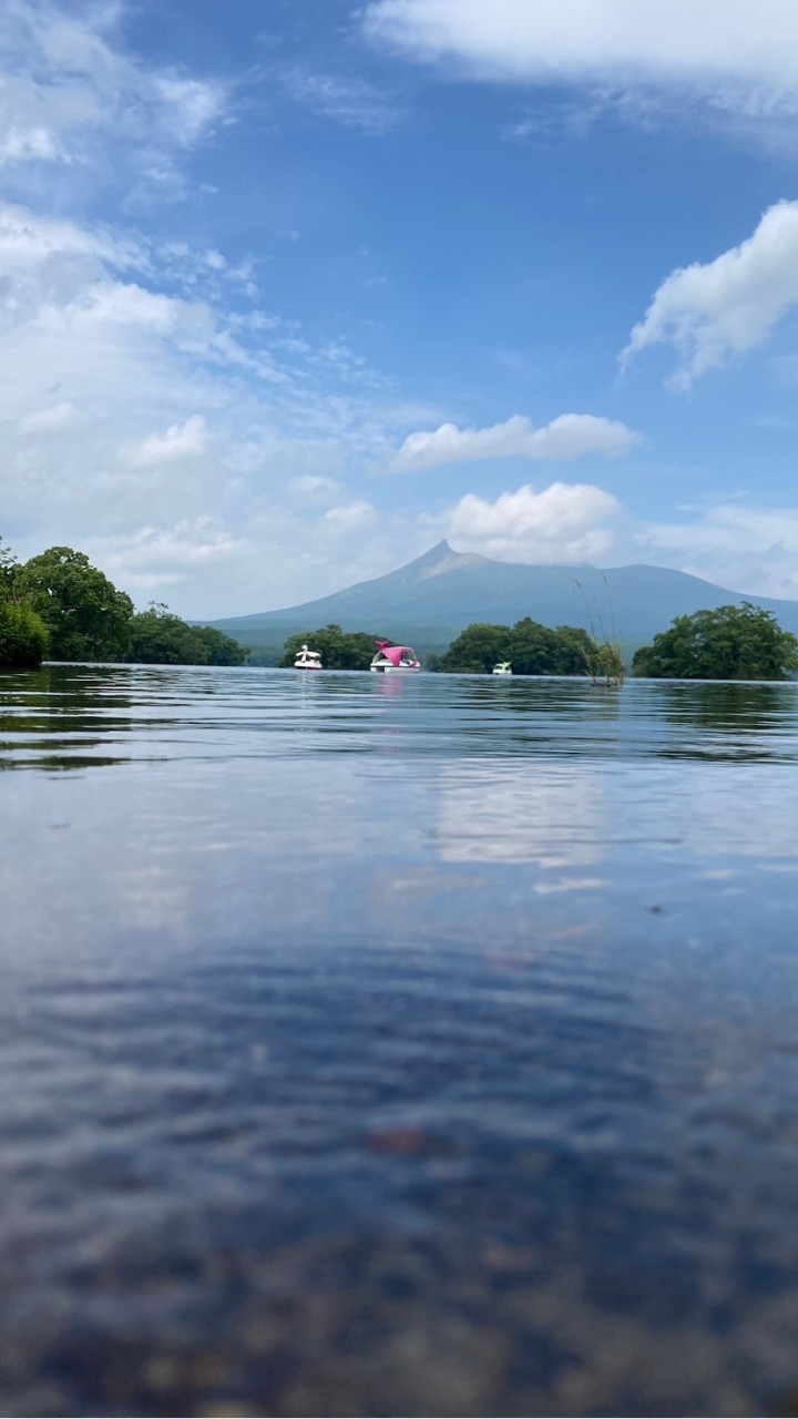 🕊️お知らせcocoyoga🕊️