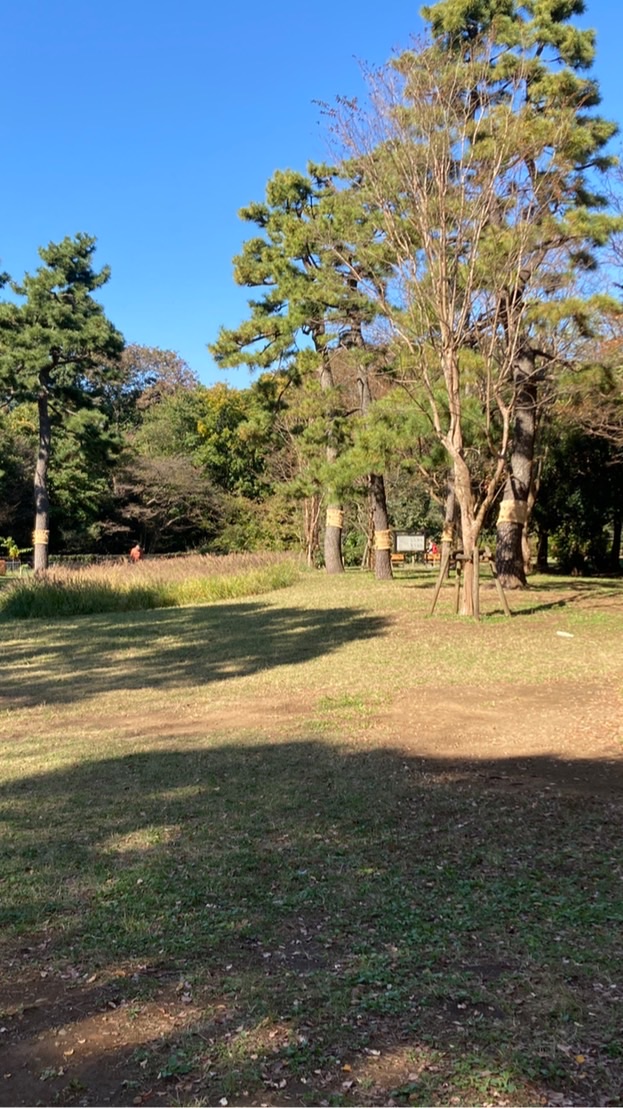 公園マスクフリー【東京東部版】