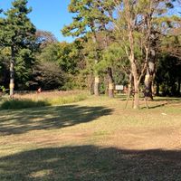 公園マスクフリー【東京東部版】