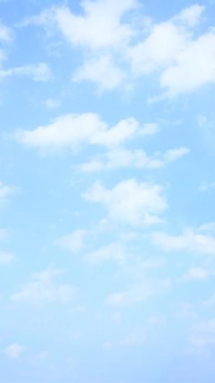 sakumi扭蛋群