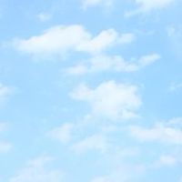 sakumi扭蛋群