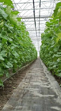 雲林好物團