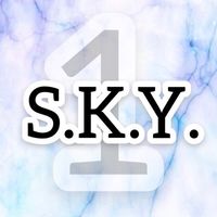 中區S.K.Y.乘客群