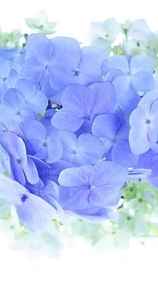 大人のお話🍀恋愛話