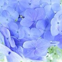 大人のお話🍀恋愛話