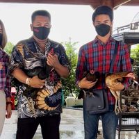 กลุ่มนพคุณฟาร์ม