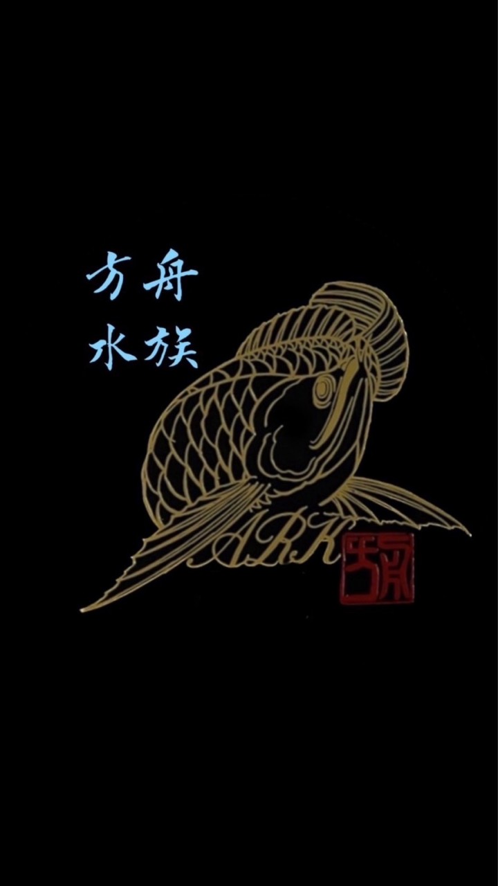 方舟水族貿易～帆の水族