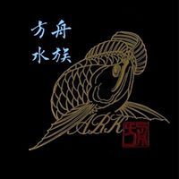 方舟水族貿易～帆の水族