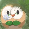 みんなでポケモンゆる～くポケモンしましょー　ポケモン関係のお話で盛り上がりましょー雑談も⭕️