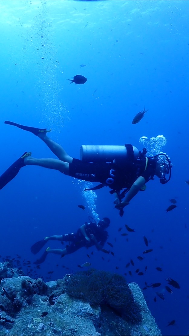นัดกัน DIVE