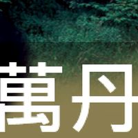 我是萬丹人