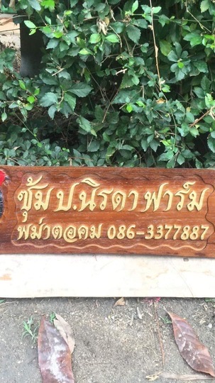 ป.นิรดาฟาร์ม อ่างทอง🐲