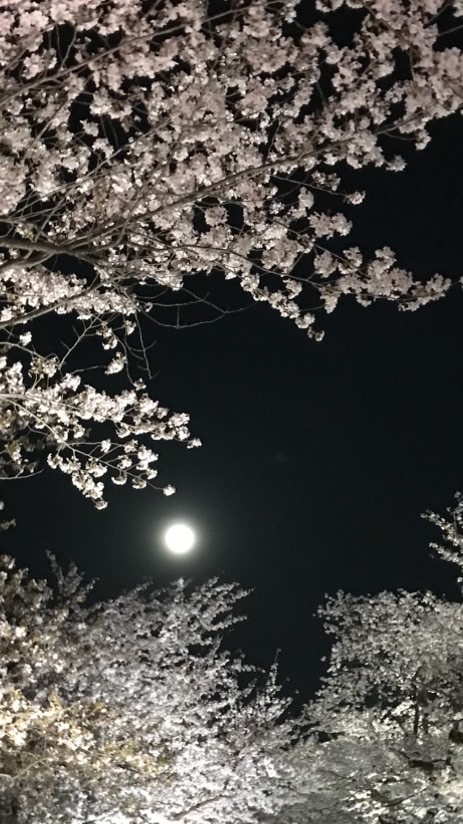 暇な人あつまれー！みんなで雑談チャット