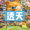 新竹透天房市🔰獨棟雙併連棟別墅…