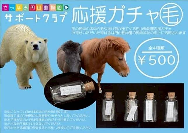 日本北海道札幌市円山動物園6月初亦推出了兩部「應援扭蛋機」