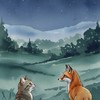 INFJ/INFP型人格討論區