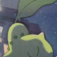 ぴか王国