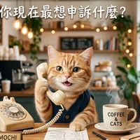 心裡有數聊心室-數字與牌卡