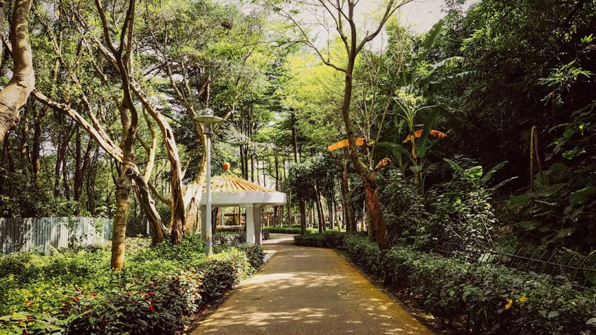 連新北人都不知道！樹林８處免費景點：巨型飛碟公園、愛心池塘、繡球花祕境