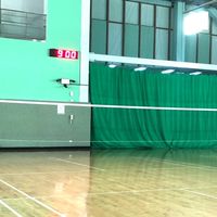 “羽中作樂”在永運 🏸
