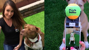 專屬毛小孩的自拍神器，有了它你的狗狗就會乖乖看鏡頭了！